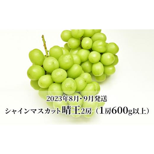 ふるさと納税 岡山県 岡山市 ぶどう 定期便 2024年 先行予約 シャイン マスカット 晴王 各月2房（1房600g以上） 2回コース マスカット ブドウ 葡萄  岡山県産 …