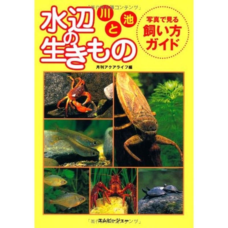 水辺の生きもの 川と池?写真で見る飼い方ガイド