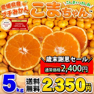 愛媛県産 小玉みかん こまちゃん 5kg 家庭用 送料無料 箱買い 蜜柑 温州 早生 南柑20号 5キロ