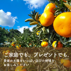 せとか 秀品 12個 約3Kg ＜2月下旬より発送予定＞ 柑橘 せとか みかん 果物 せとか くだもの フルーツ せとか おすすめ 高級 せとか 人気 お取り寄せ グルメ ギフト せとか 期間限定 数量限定 ご当地 愛媛県 松山市 たかぎ果樹園