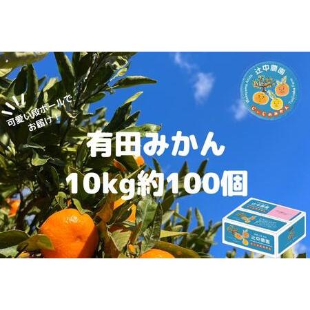 ふるさと納税 本場有田みかん じぃじのみかん10kg 和歌山県有田川町