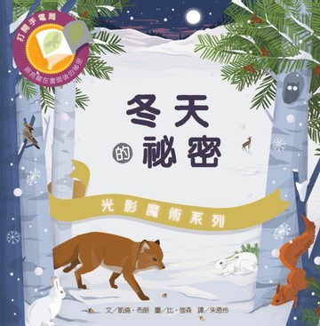 光影魔術：冬天的祕密【二手書_良好】TAAZE讀冊生活