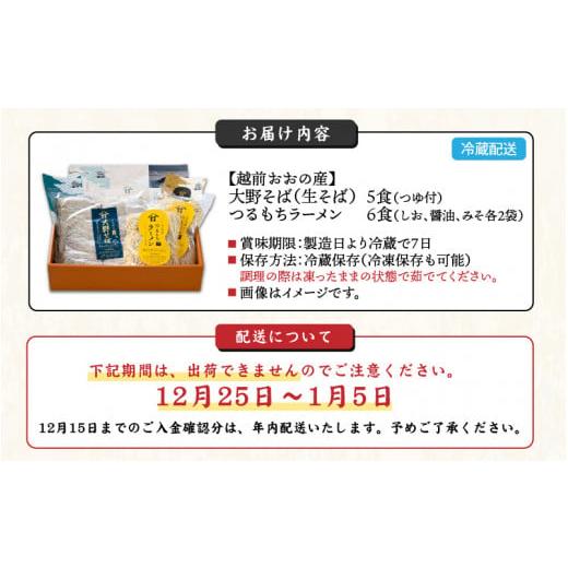 ふるさと納税 福井県 大野市 越前大野産 石臼挽き 越前そば 生そば5食 ＋ ラーメン6食（つゆ、スープ付）