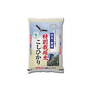 兵庫県豊岡産（特別栽培）コシヒカリ　１０ｋｇ(５ｋｇ×２本)