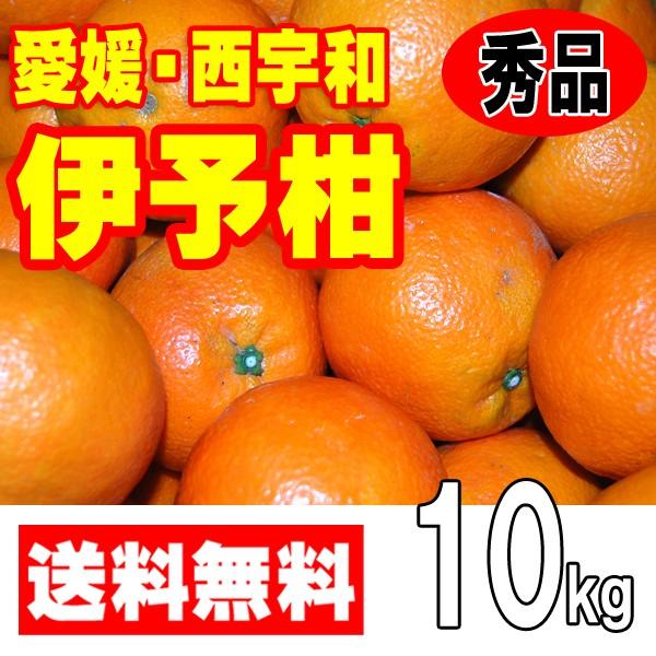 愛媛西宇和産　伊予柑　秀品ギフト贈答用　１０ｋｇ　送料無料 産地直送