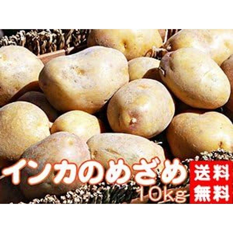 インカのめざめ まとめ買い 10kg (サイズ無選別) 北海道産地直送じゃがいも インカの目覚め ジャガ芋