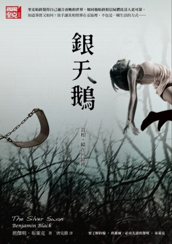 銀天鵝[二手書_良好]