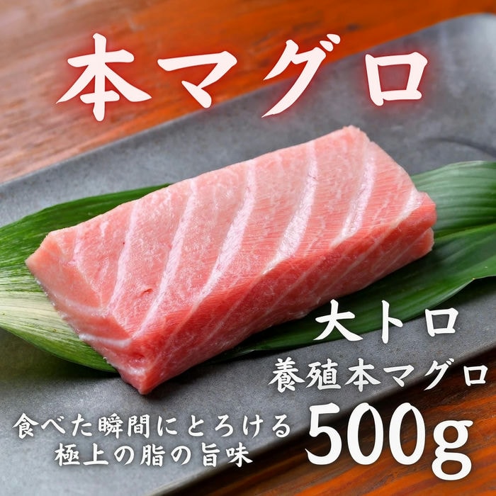 500g　本マグロ　大トロ　LINEショッピング