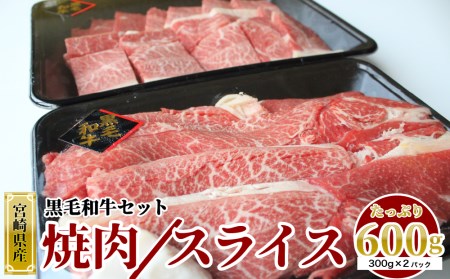 宮崎県産 黒毛和牛 焼肉 スライス セット 合計600g (各300g×1パック) 牛肉 ウデ モモ 牛肉 焼肉 冷凍 牛肉 宮崎県産 九州産 送料無料 牛肉 すき焼き しゃぶしゃぶ 薄切り うす切り 小分け 牛肉