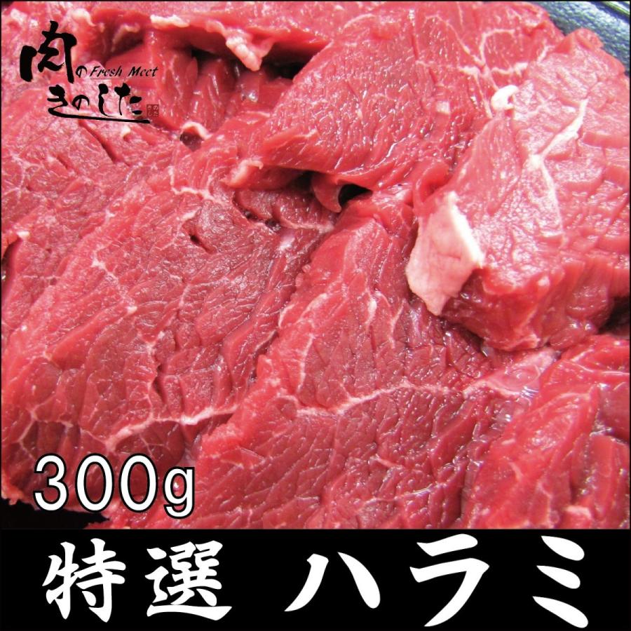 牛肉 特選ハラミ 300g BBQ バーベキュー 焼肉