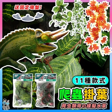 台灣出貨【爬蟲箱裝飾植物🦎】造景裝飾 樹葉 飼養箱 爬蟲屋 樹棲 爬蟲 變色龍 守宮 蜥蜴 蠍子 陸龜 爬蟲 蛇 飼養箱