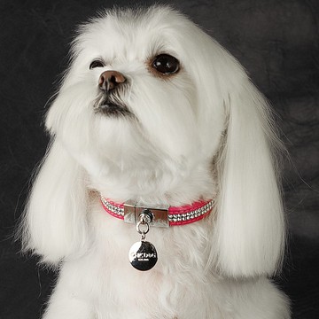 【皮繩】S 號 滿鑽 Swarovski雙排 皮革真皮項圈((送刻字))