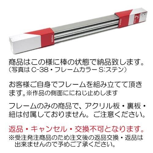 額縁　出展用仮額縁：C-38(C38) M20 号(500×727)　（Cライン）