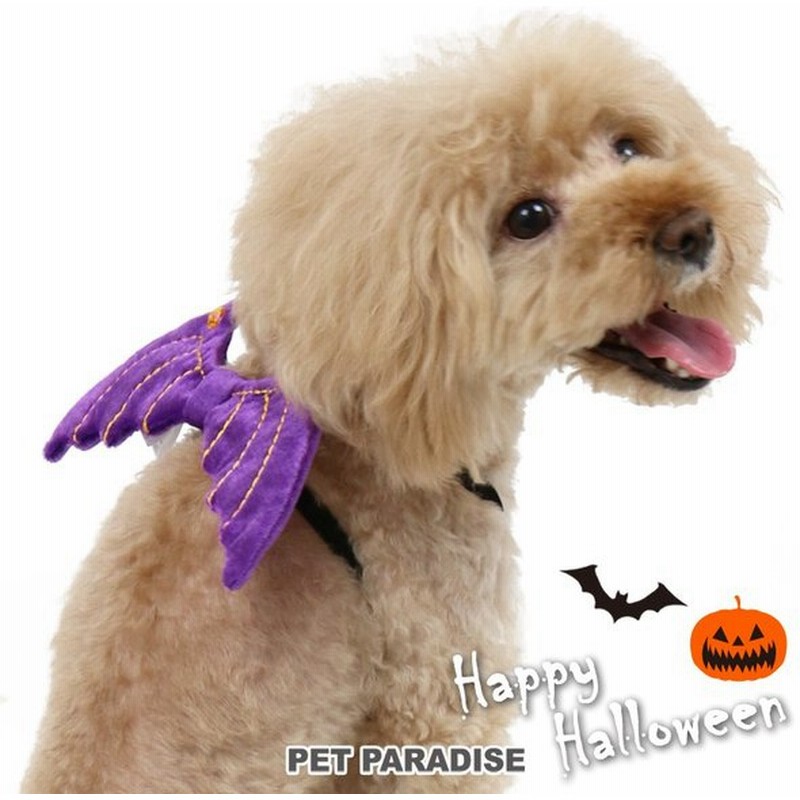 セール ハロウィン 悪魔の羽 ゴム 小型犬 犬 服 ペットパラダイス 仮装 コスプレ インスタ映え かわいい 1着のみメール便可 返品不可 通販 Lineポイント最大0 5 Get Lineショッピング