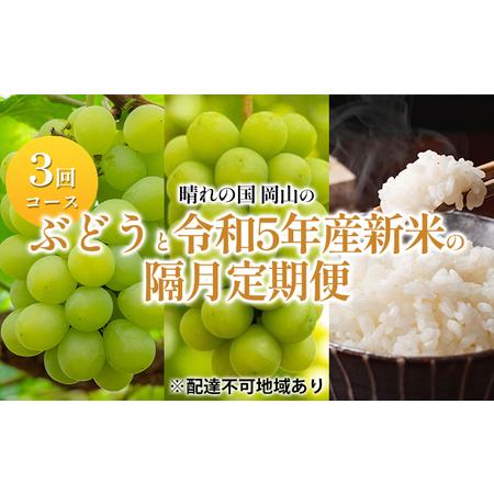 ふるさと納税 ぶどう 米 定期便 2024年 先行予約 晴れの国 岡山 の ぶどうと 令和6年産 新米 の隔月 定期便 3回コース 葡萄 こめ 岡山県産 国産 .. 岡山県岡山市