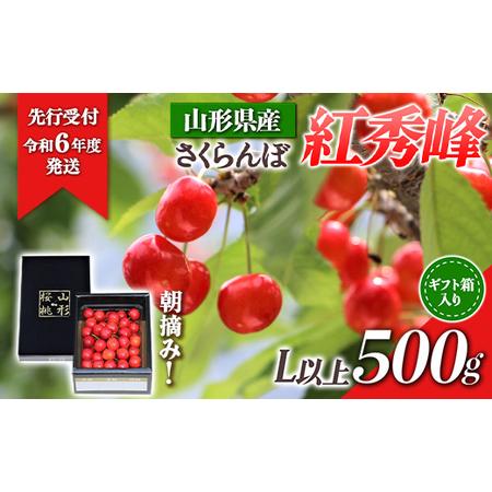 ふるさと納税 山形県産 朝摘みさくらんぼ 紅秀峰500g ギフト箱入り FSY-0346 山形県