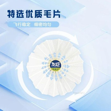 🚚臺灣出貨💨羽毛球真羽毛耐打耐用硬底12只裝防風不易爛正品室內室外訓練用球