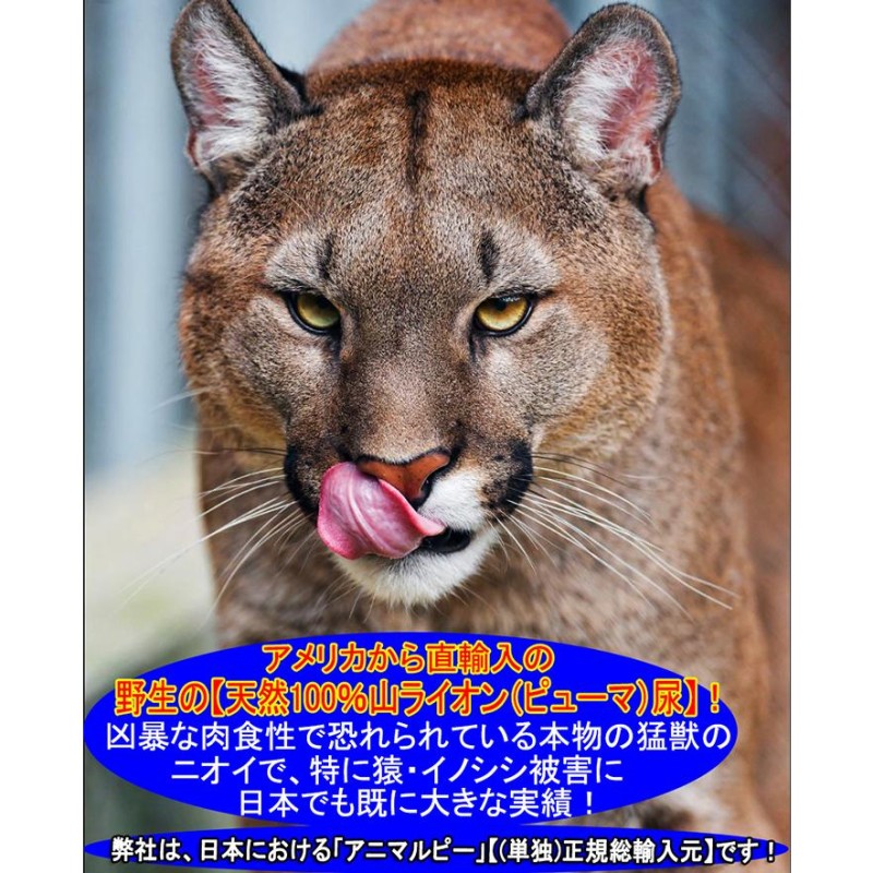 超安い品質 天然100%野生オオカミ尿 天然ウルフ尿 害獣対策 イノシシ猿ハクビシン鹿 野良猫 ウルフピー同内容同品質品 アニマルピーNo.1  ガロンボトル