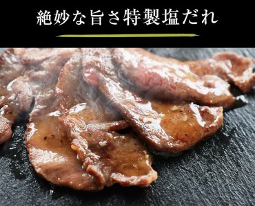 牛タン 厚切り 塩だれ タン塩 3kg 焼肉