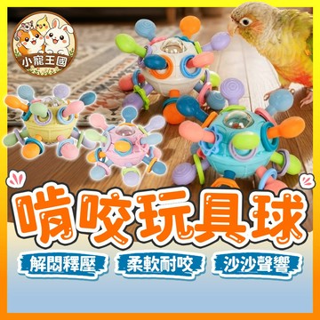 【小寵王國】鸚鵡啃咬玩具球 啃咬球 軟膠球 鸚鵡益智玩具 鳥籠掛件 鸚鵡咬咬球 解悶玩具 磨牙啃咬球 磨嘴耐咬球 鳥用品