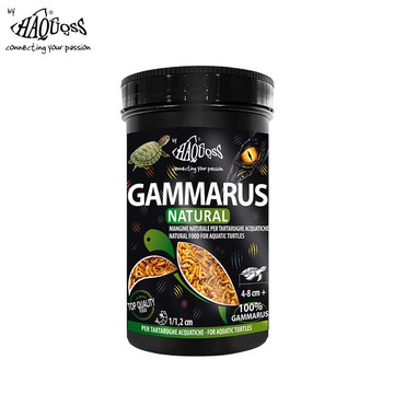 HAQUOSS 義大利海酷 天然高鈣鉤蝦乾 S 100ml 天然鉤蝦曬乾 適用烏龜 兩棲爬蟲_廠商直送