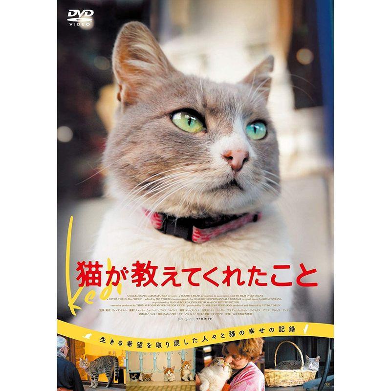 猫が教えてくれたこと DVD