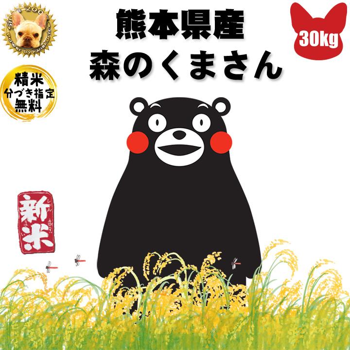 九州熊本産 森のくまさん 令和4年産 玄米 30kg 精米無料