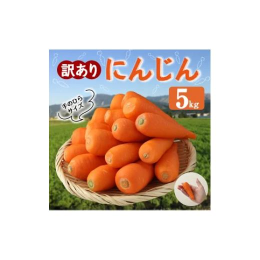 ふるさと納税 熊本県 西原村 訳あり にんじん 5kg