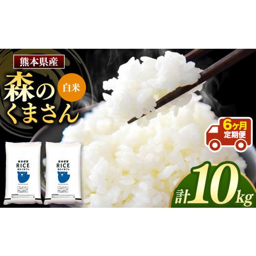 ふるさと納税 熊本県 玉名市 森のくまさん 白米 10kg （5kg×2袋）×6回