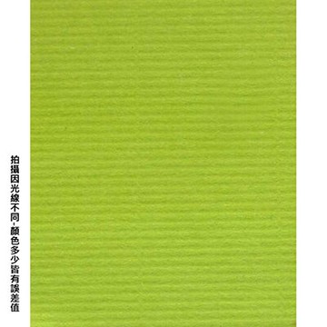 【文具通】全開粉彩紙27 果綠 P1330029