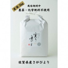 「実り咲かす」 栽培期間中 農薬・化学肥料不使用　さがびより　玄米5kg