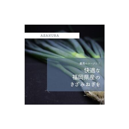 ふるさと納税 野菜 カット ねぎ 3kg（1kg×3袋）長ネギ 配送不可エリア有り 福岡県朝倉市