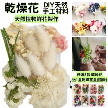 【A-ONE】DIY天然乾燥花 永生花材料包 綜合乾燥花盒 香薰蠟燭 天然乾燥花 植物果實 短枝 碎花 A08 浩白如雪_廠商直送