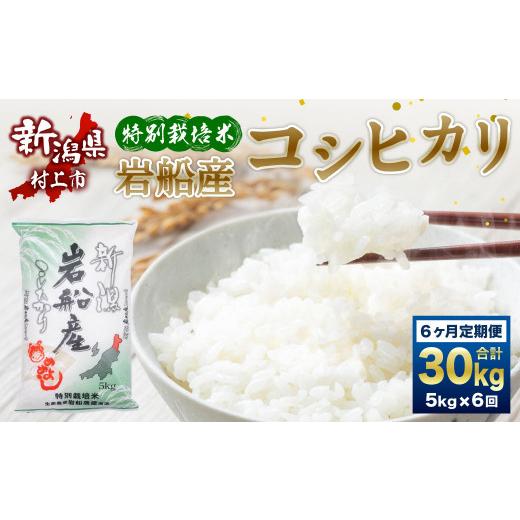 ふるさと納税 新潟県 村上市 D4036 特別栽培米  新潟県岩船産 コシヒカリ 30kg（5kg×6ヶ月コース） 定期便  毎月 お米  白米 こしひかり 精米…