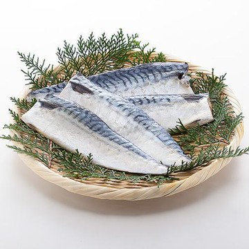 好神 【買10片送10片】深海挪威薄鹽鯖魚片-共20片