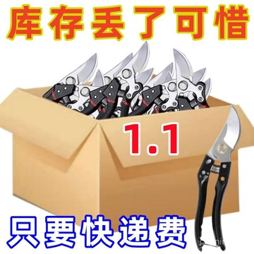 特快德國SK5園藝剪不銹鋼省力強力粗枝剪樹枝專用剪子園林修枝剪🔥509🔥 KZJ0
