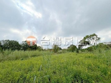 渴望476投資農地｜桃園市龍潭區中原段
