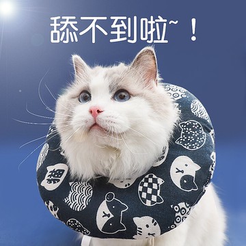 貓咪項圈伊麗莎白圈寵物狗狗脖套伊利沙白圈幼貓貓頭套頸圈防舔圈