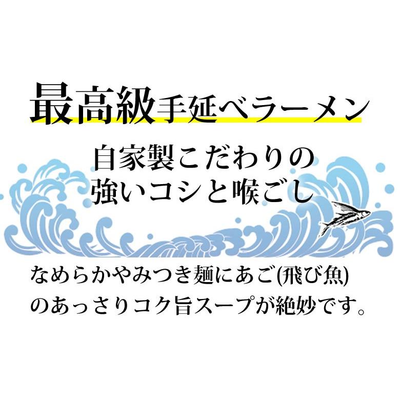 ラーメン あごだしラーメン 送料無料 500円  2食セット ポイント消化  ポッキリ お取り寄せ お試し あごだし 国産小麦100％ 長崎県産