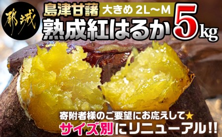 島津甘藷　熟成紅はるか 5kg(2L～M) _LD-A701_(都城市) 幻のサツマイモ 幻の品種 紅はるか 5kg 2L～M ベジエイト