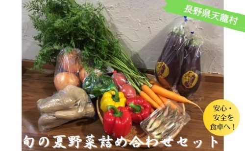 天龍村の旬の夏野菜（農産物）詰め合わせセット