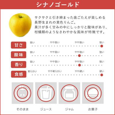 ふるさと納税 飯綱町 2024年11月以降出荷 訳あり りんご シナノゴールド 約5kg 光センサー選果 12〜20玉