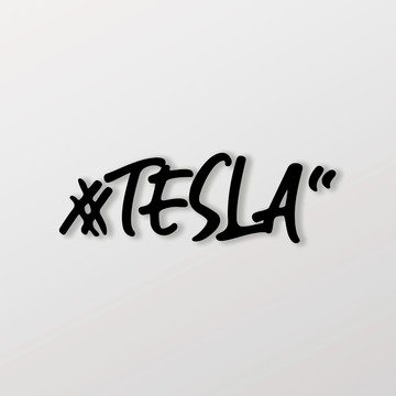 #TESLA/車貼 SunBrother孫氏兄弟 3M 反光貼紙 防水貼紙 車貼貼紙