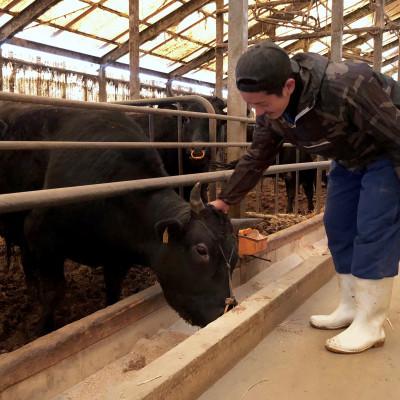 ふるさと納税 大刀洗町 博多和牛肩ロースうす切り　1kg(大刀洗町)