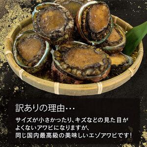 ふるさと納税 訳あり エゾアワビ 約1kg 冷凍 刺身用 岩手県大船渡市