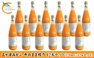 三ヶ日みかん そのまま絞り 12本セット（720ml×12本セット） みかん ジュース 100%