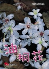 油桐花[二手書_全新]