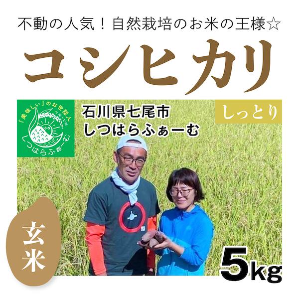 玄米5kg「自然栽培のコシヒカリ」(石川県七尾市)しつはらふぁーむ　自然栽培＠のと 無施肥 令和5年産