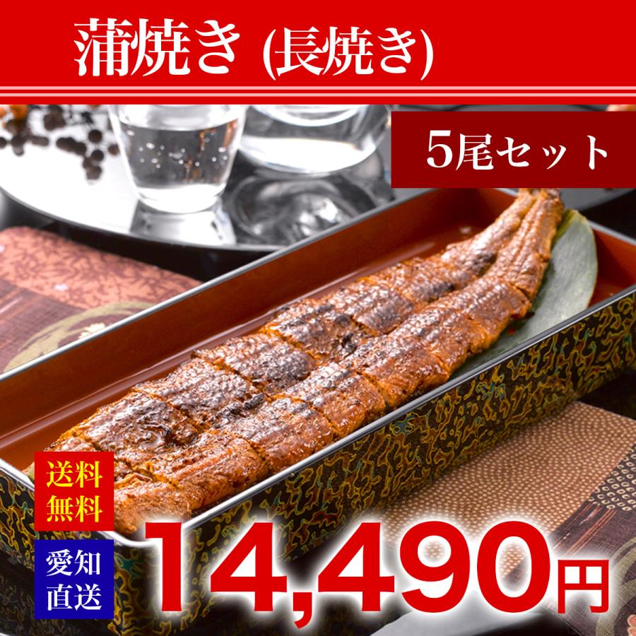 愛知県産特選うなぎ蒲焼き（長焼）5尾セット 土用の丑の日　2023　ギフト　国産　 ウナギ 鰻 お取り寄せ 人気　お祝　お歳暮　お中元