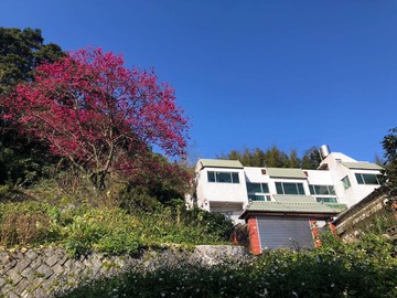 陽明山遠眺101景觀別墅｜台北市士林區至善路三段